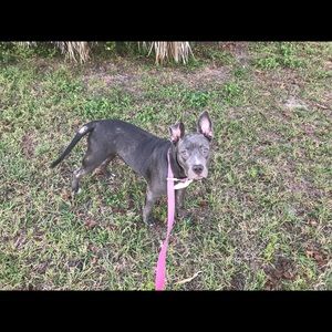 Meet your Posher, Alaina